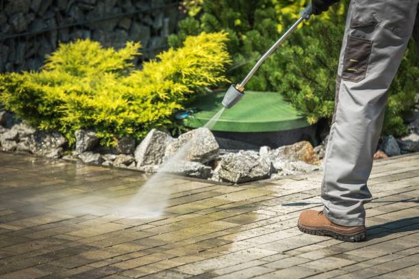 Reliable Bayou Vista, TX Pressure Washing Services Solutions