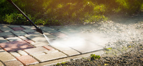 Best Soft Washing  in Bayou Vista, TX